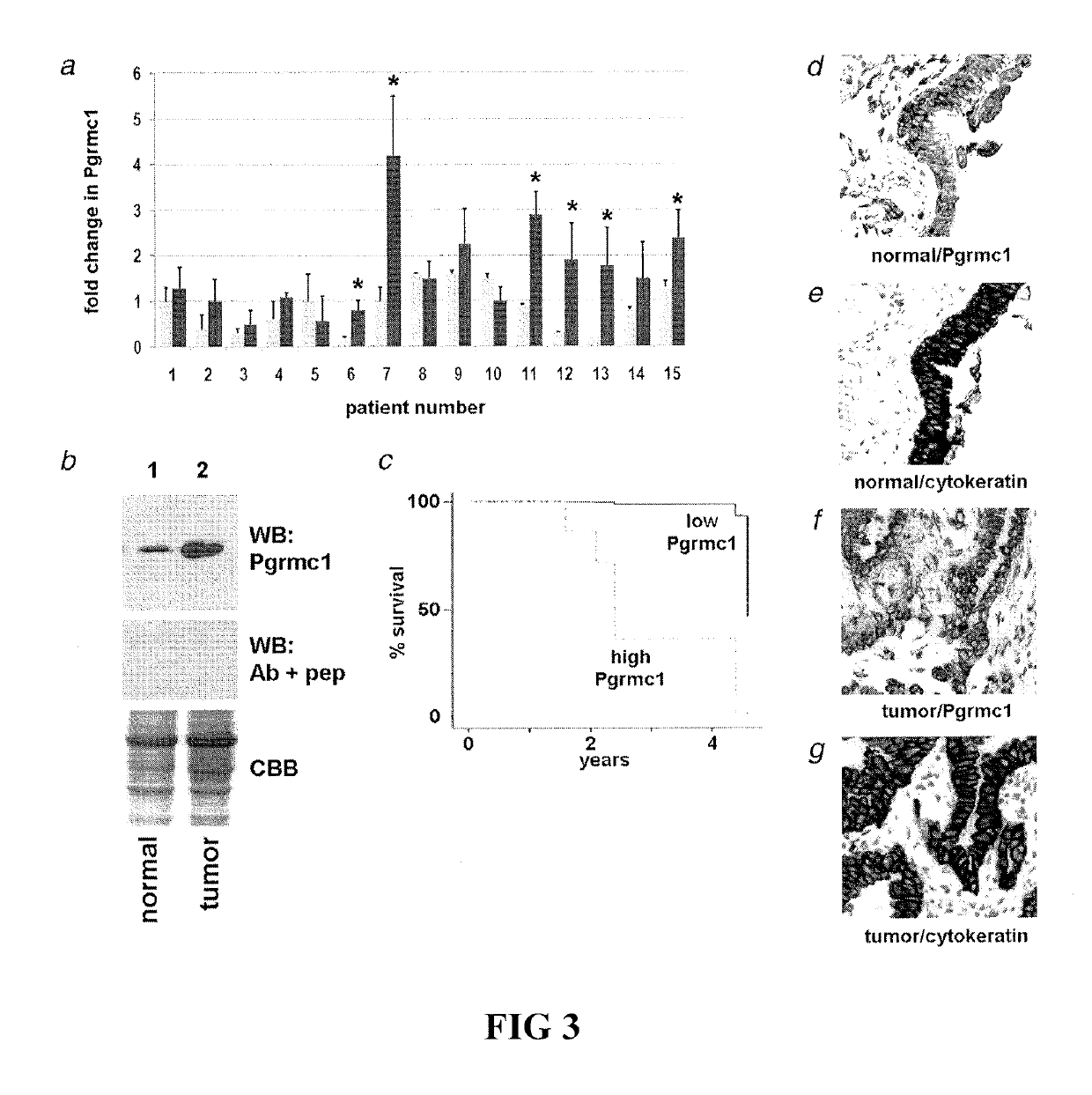 Secreted tumor-associated cytochrome as a blood-based biomarker for cancer