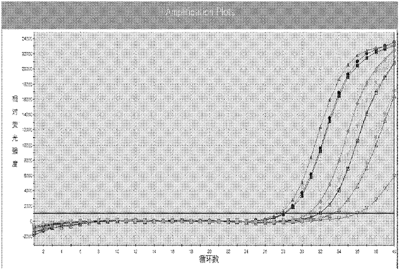 PCR (polymerase chain reaction) fluorescence quantitative rapid test kit and method for chlamydia trachomatis