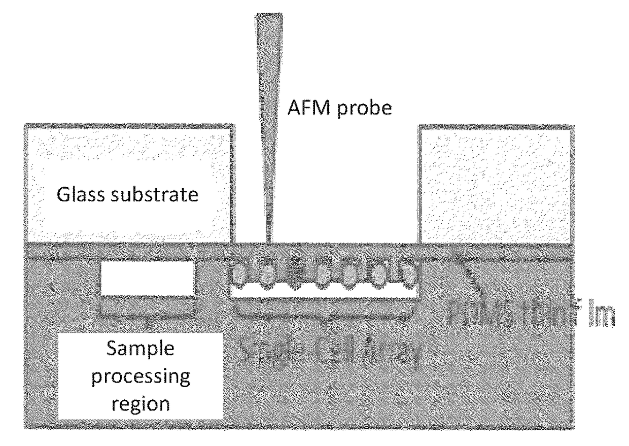 INTEGRATED MICROFLUIDIC PLATFORM FOR SELECTIVE EXTRACTION OF SINGLE-CELL mRNA