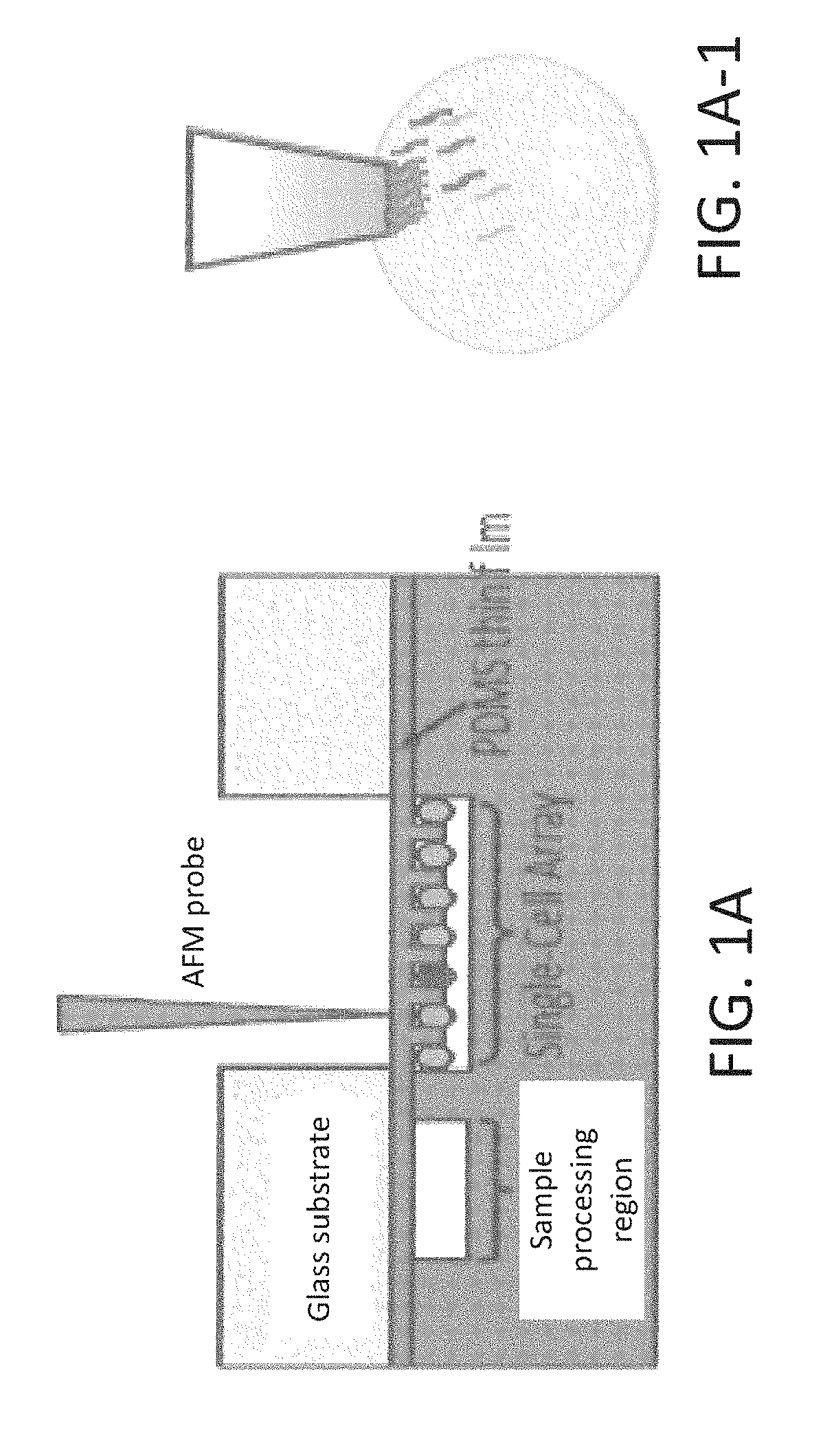 INTEGRATED MICROFLUIDIC PLATFORM FOR SELECTIVE EXTRACTION OF SINGLE-CELL mRNA