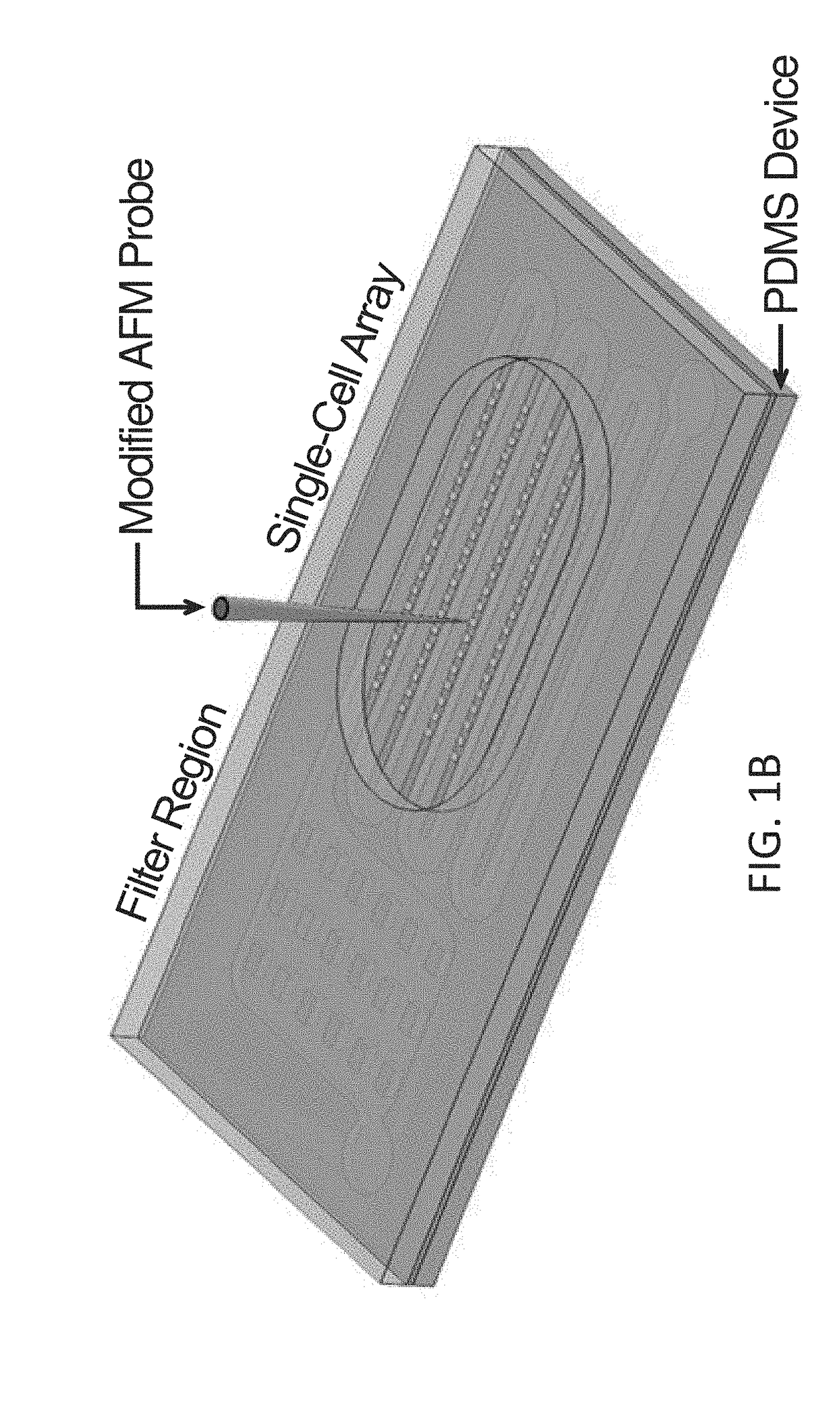 INTEGRATED MICROFLUIDIC PLATFORM FOR SELECTIVE EXTRACTION OF SINGLE-CELL mRNA