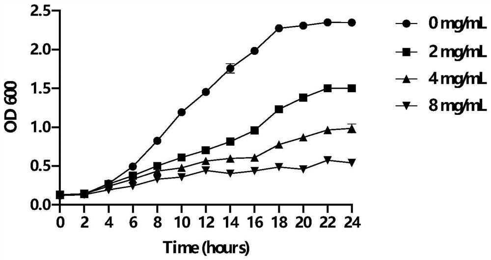 Application of nicotinamide in preparation of medicine for resisting porphyromonas gingivalis