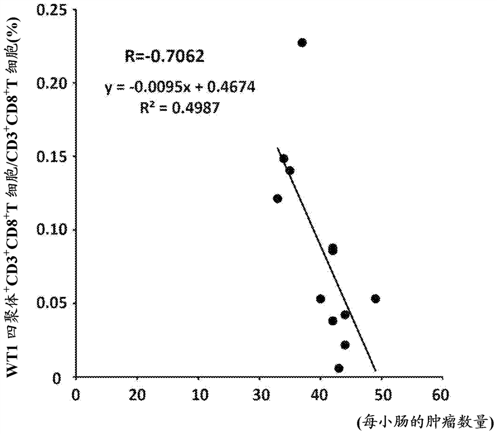 Prophylactic or therapeutic drug for benign tumor