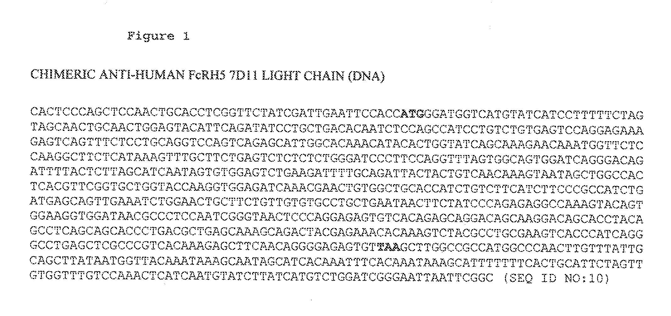 ANTI-FcRH5 ANTIBODIES AND IMMUNOCONJUGATES AND METHODS OF USE