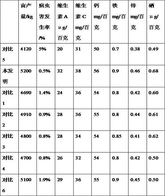 Planting method of high-quality Chinese cabbages