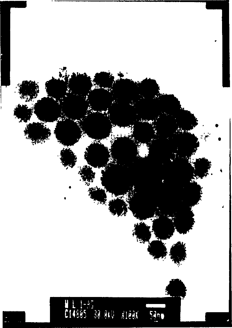 Preparation method of hybridized metal nano-particle