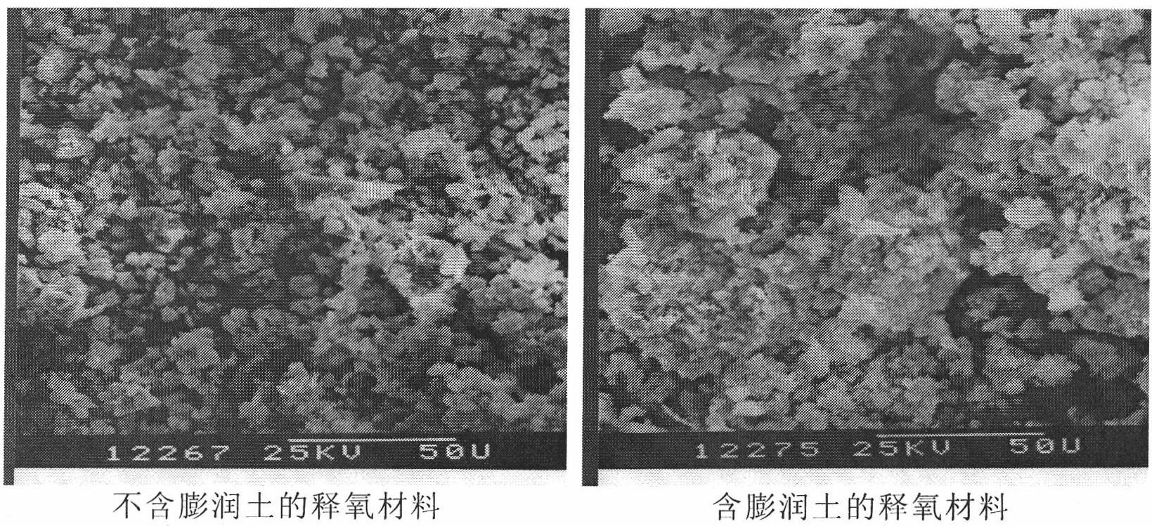 Biodegradation method of methyl tert-butyl ether in ground water