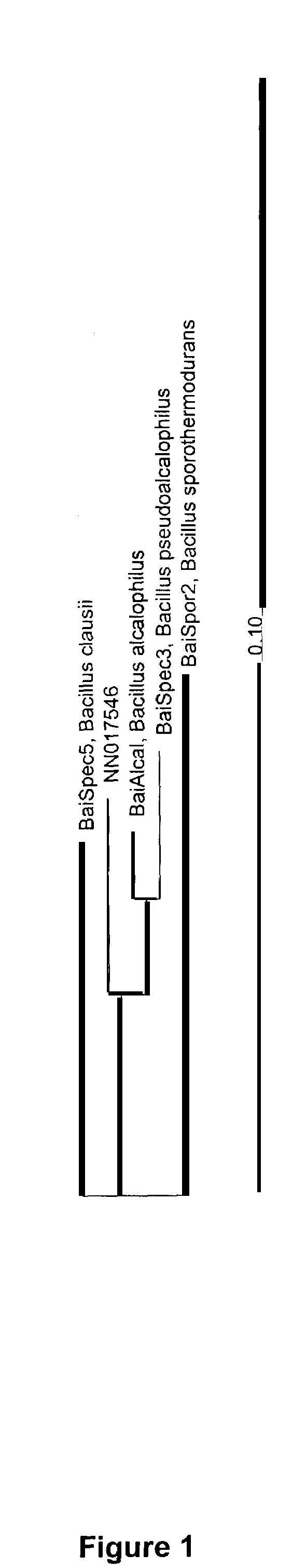 Mannanases