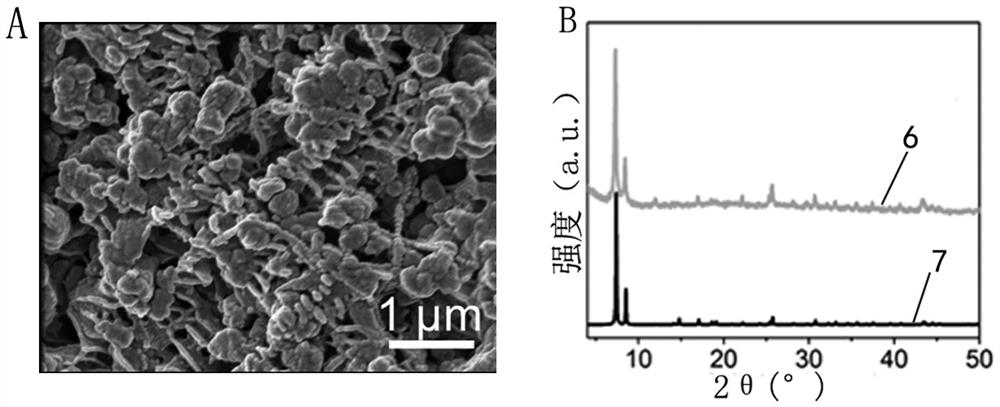 Membrane and preparation method and application thereof