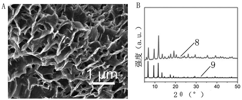 Membrane and preparation method and application thereof