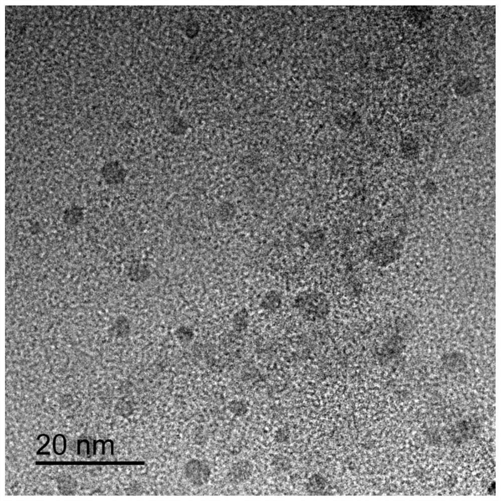 A drug carrier system capable of targeted drug delivery in cancer cells and preparation method thereof