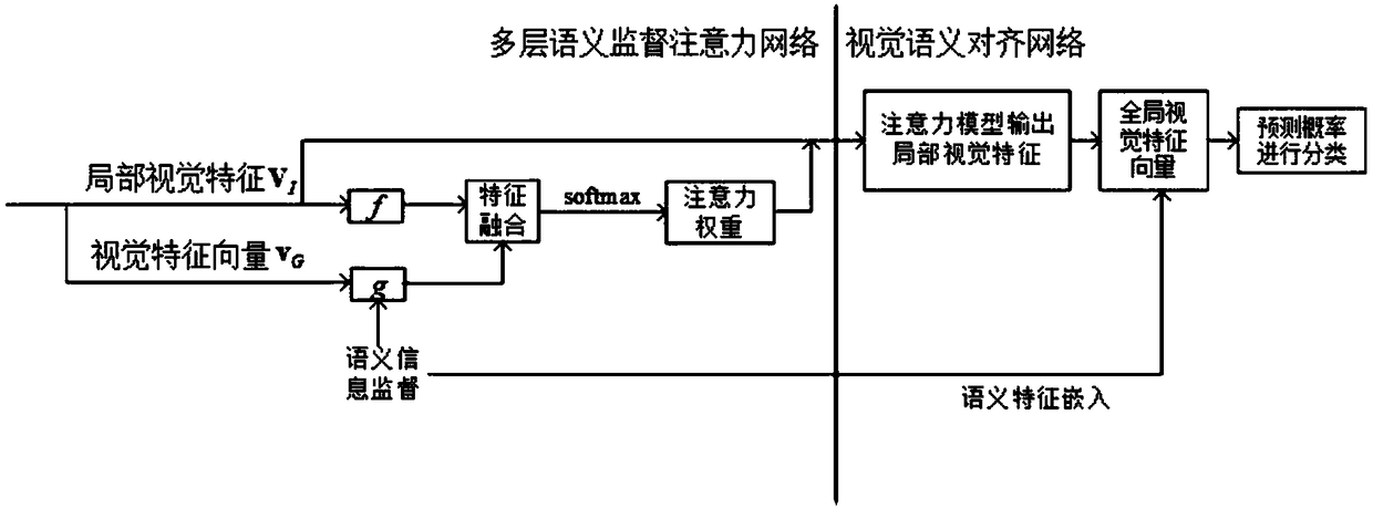 Fine-grained zero-sample classification method based on multi-layer semantic supervised attention model