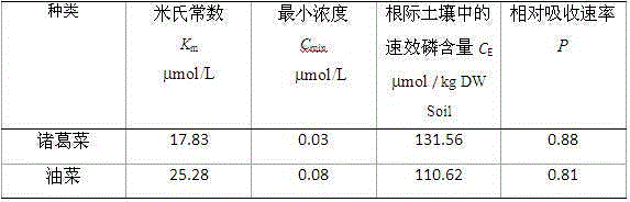 Identification method for adaptability of plant to low-phosphorus environment