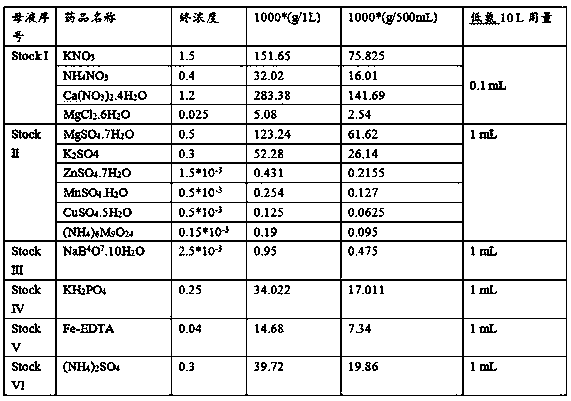 Method for improving formation of root nodules of leguminous plants so as to promote their growth