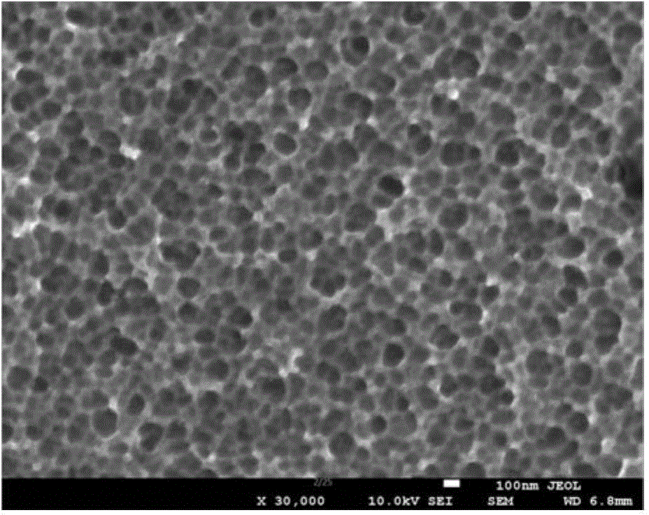 Preparation method of NiTi shape memory alloy with porous surface