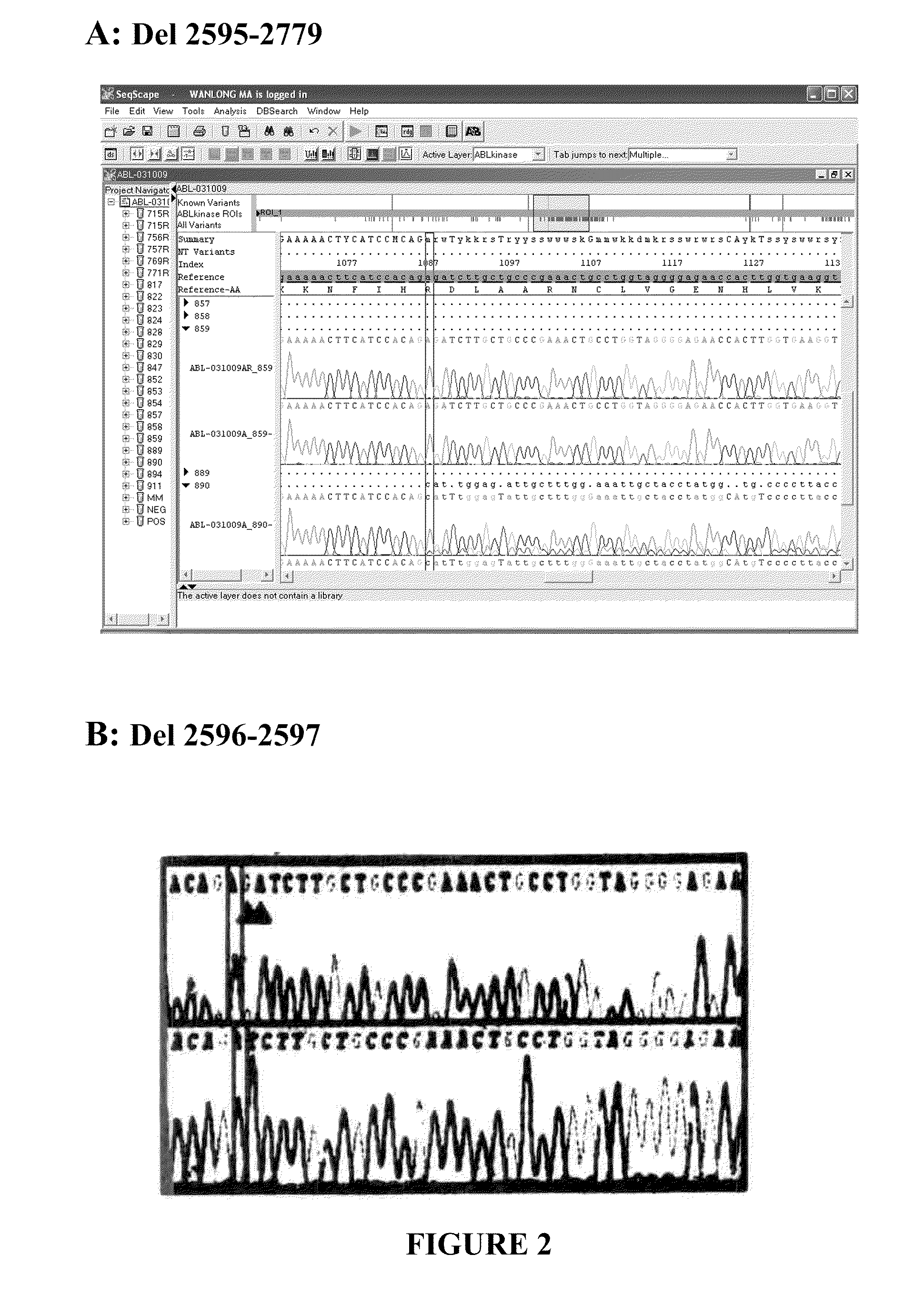 Bcr-abl truncation mutations