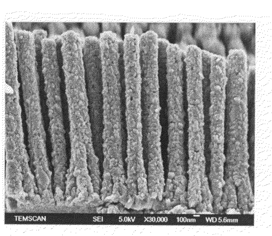 Method for the Electrolytic Production of Self-Supporting Conductive Nanocomposite Elements