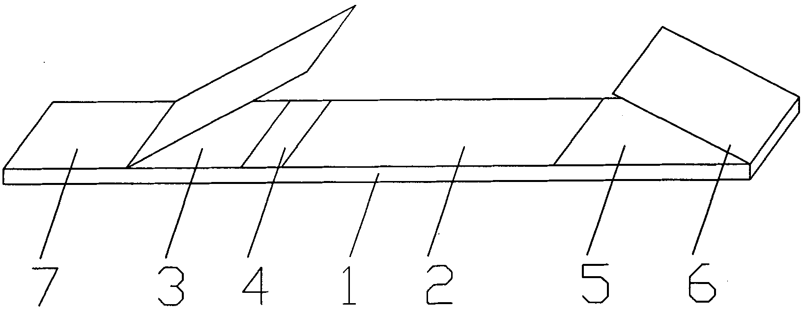 Binary detection test strip of beta-exhilarant ractopamine and salbutamol and preparation method thereof