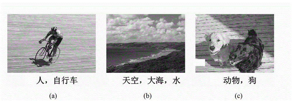 Natural image classification method and device on basis of multi-modal matrix filling