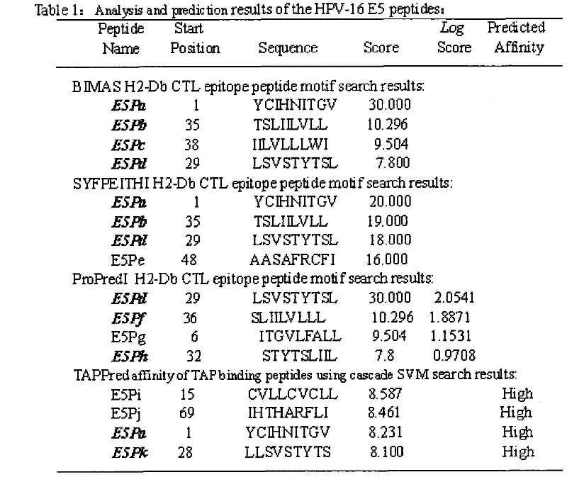 Screening and verifying of human papilloma virus (HPV) 16 tripeptide vaccine and construction of tumor animal model for continually expressing HPV16 E5, E6 and E7