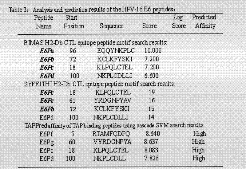 Screening and verifying of human papilloma virus (HPV) 16 tripeptide vaccine and construction of tumor animal model for continually expressing HPV16 E5, E6 and E7