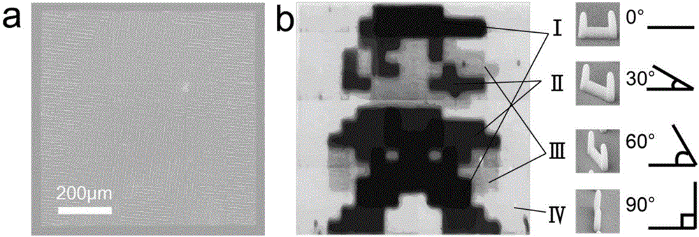 Three-dimensional metamaterial and preparation method and application thereof