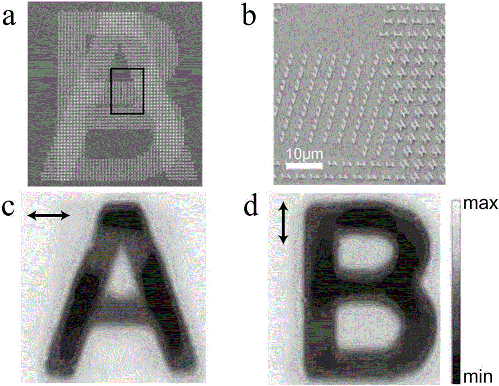 Three-dimensional metamaterial and preparation method and application thereof