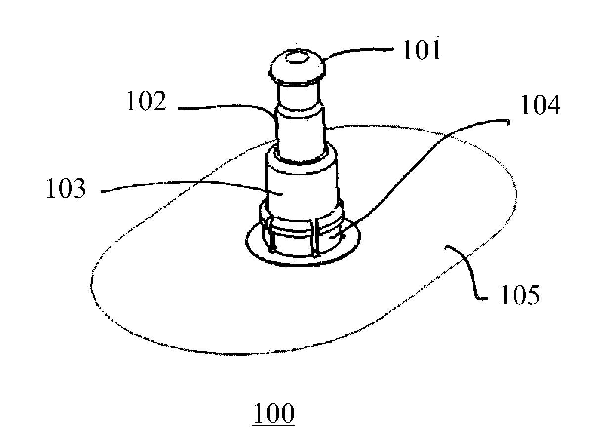 Introducer Assembly and Methods of Use