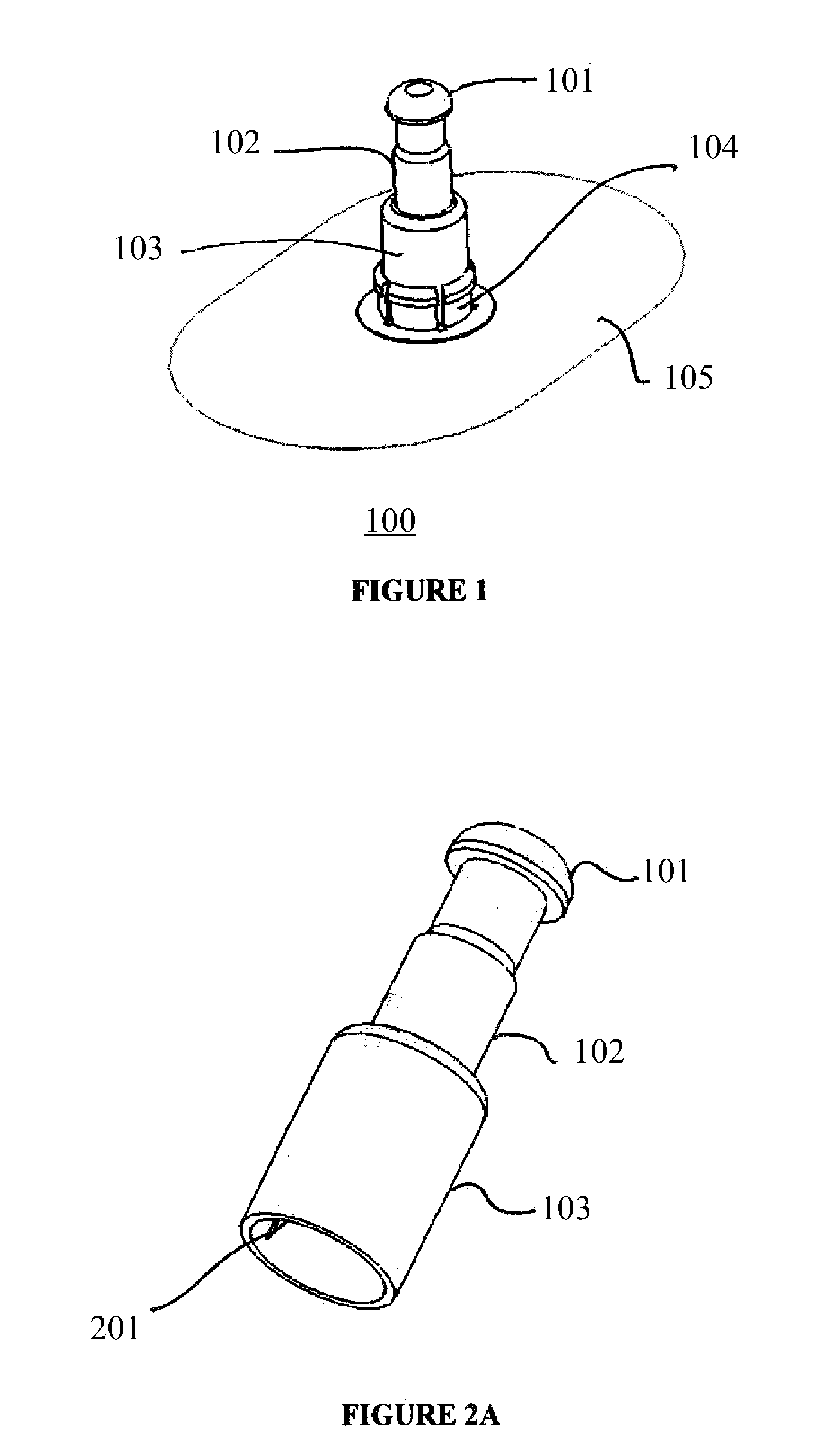 Introducer Assembly and Methods of Use