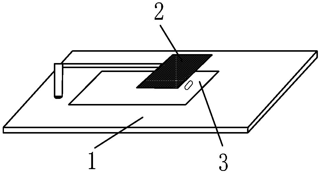 Mobile terminal, SAR test device thereof and SAR test method