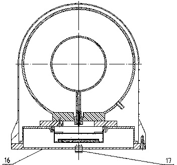 Detector for monitoring environmental radiation dose rate