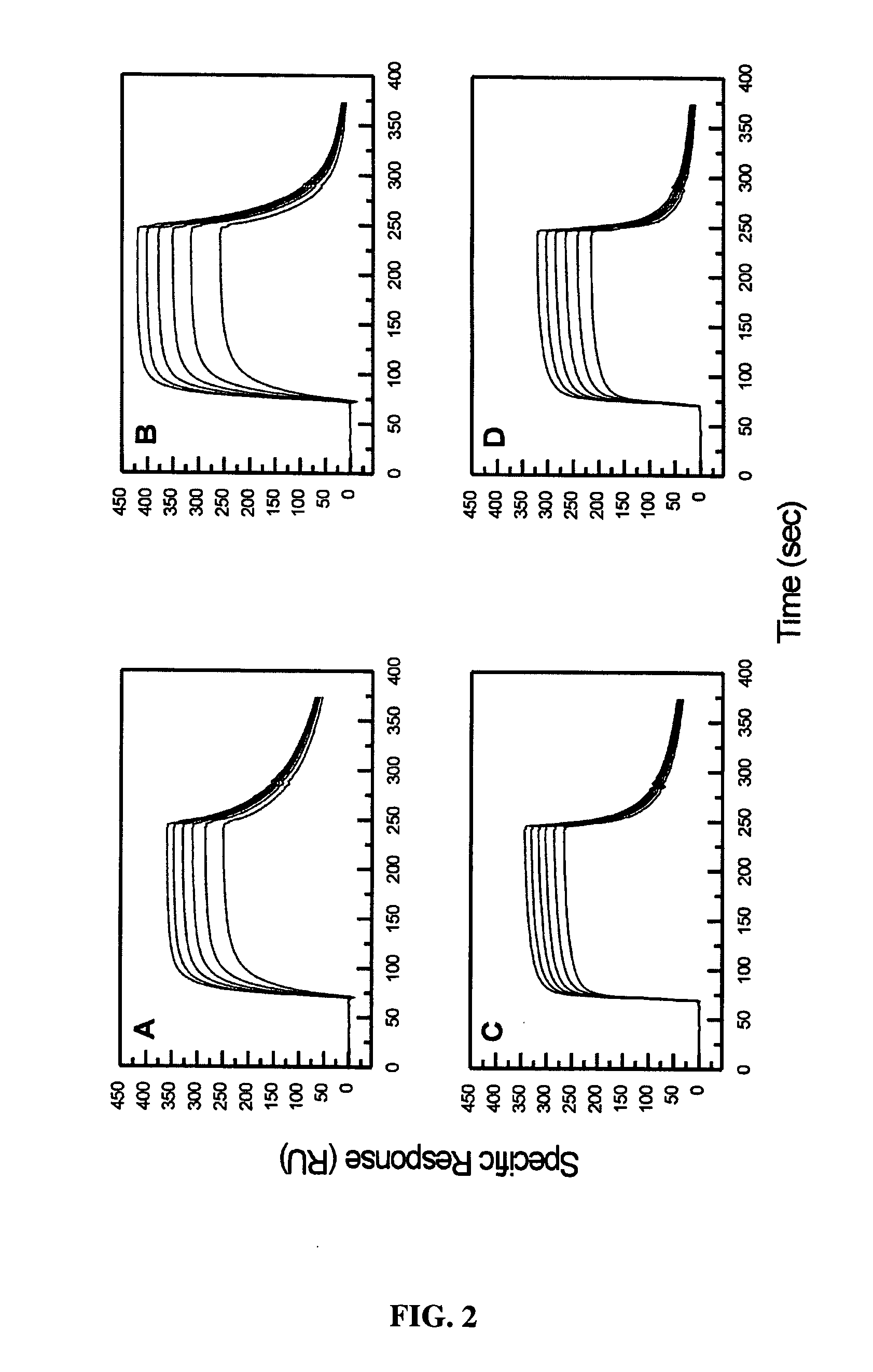 Truncated EGF receptor