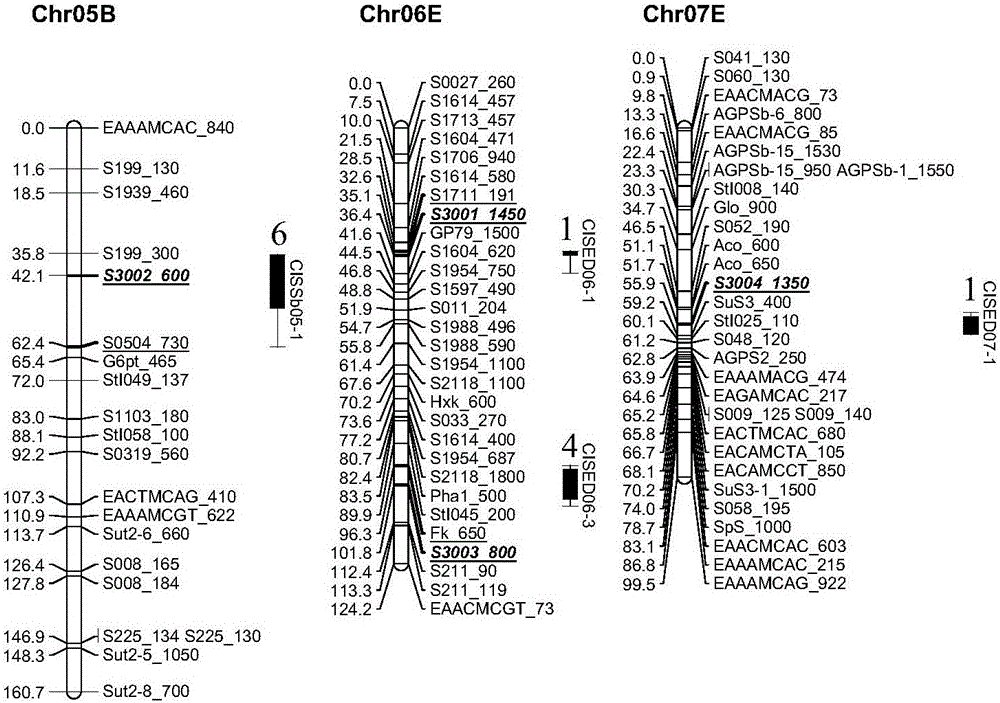 Potato low-temperature sweetening resistant molecular marker combination and application thereof in potato low-temperature sweetening resistant breeding