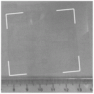 Composite conductive material of graphene film and metal nanometer structure and preparation method thereof