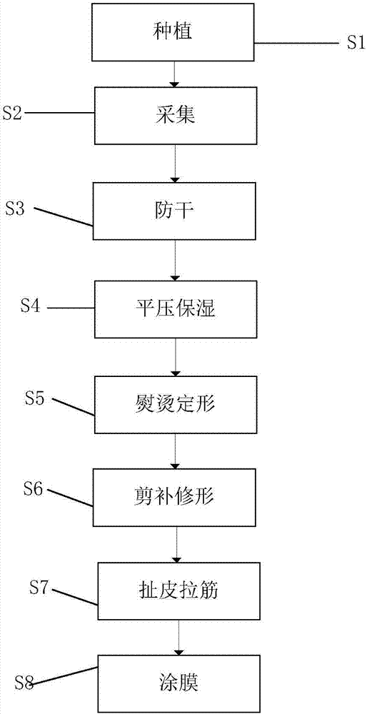 Method for leaf treatment through nanometer TiO2 thin films