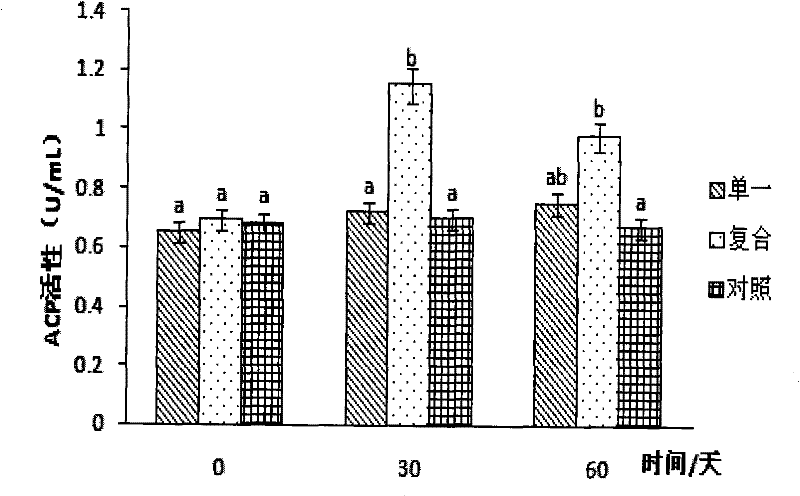 Composite microecological preparation for multifunctional sea cucumber culture