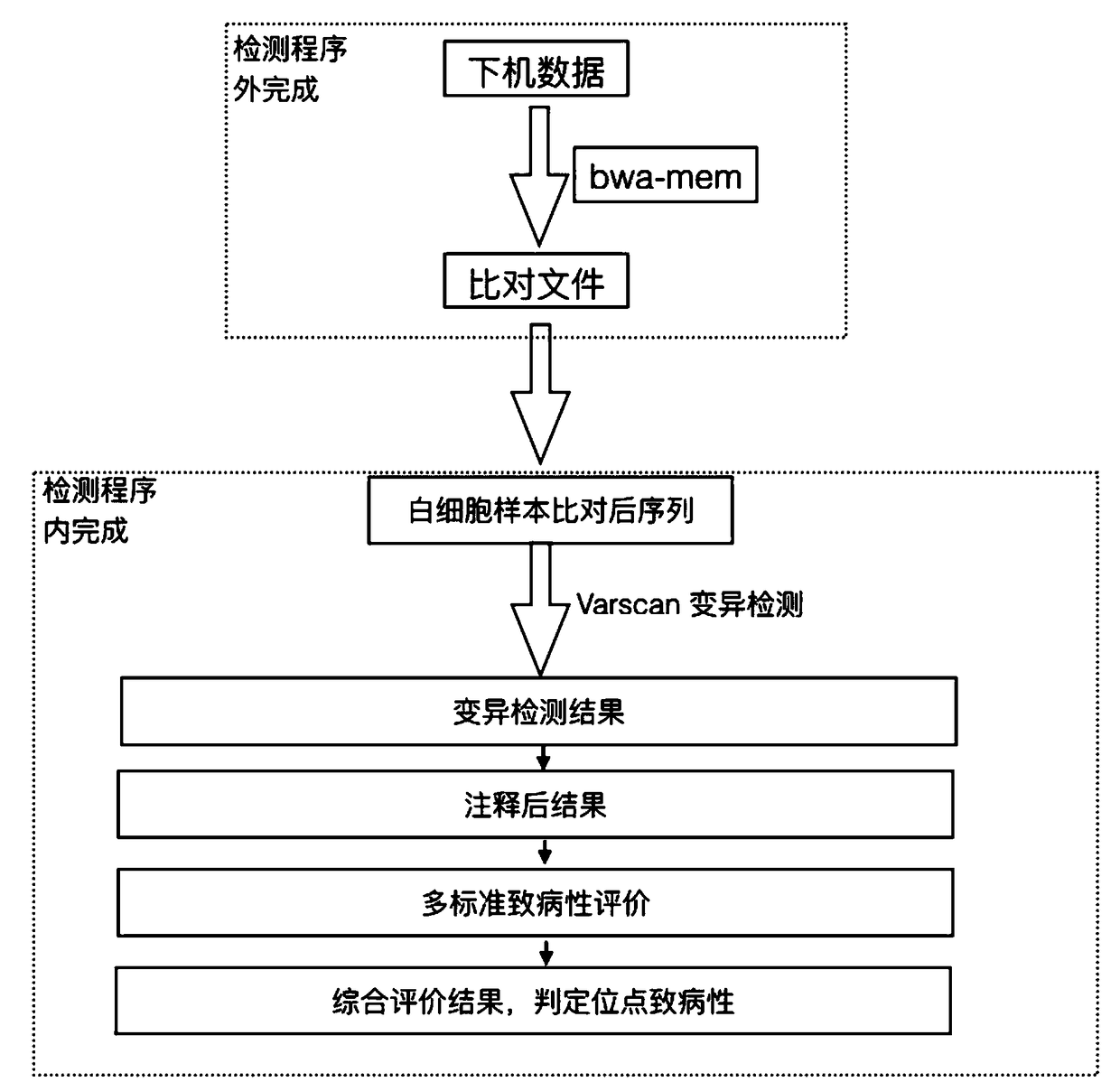 Gene variation interpretation method and device