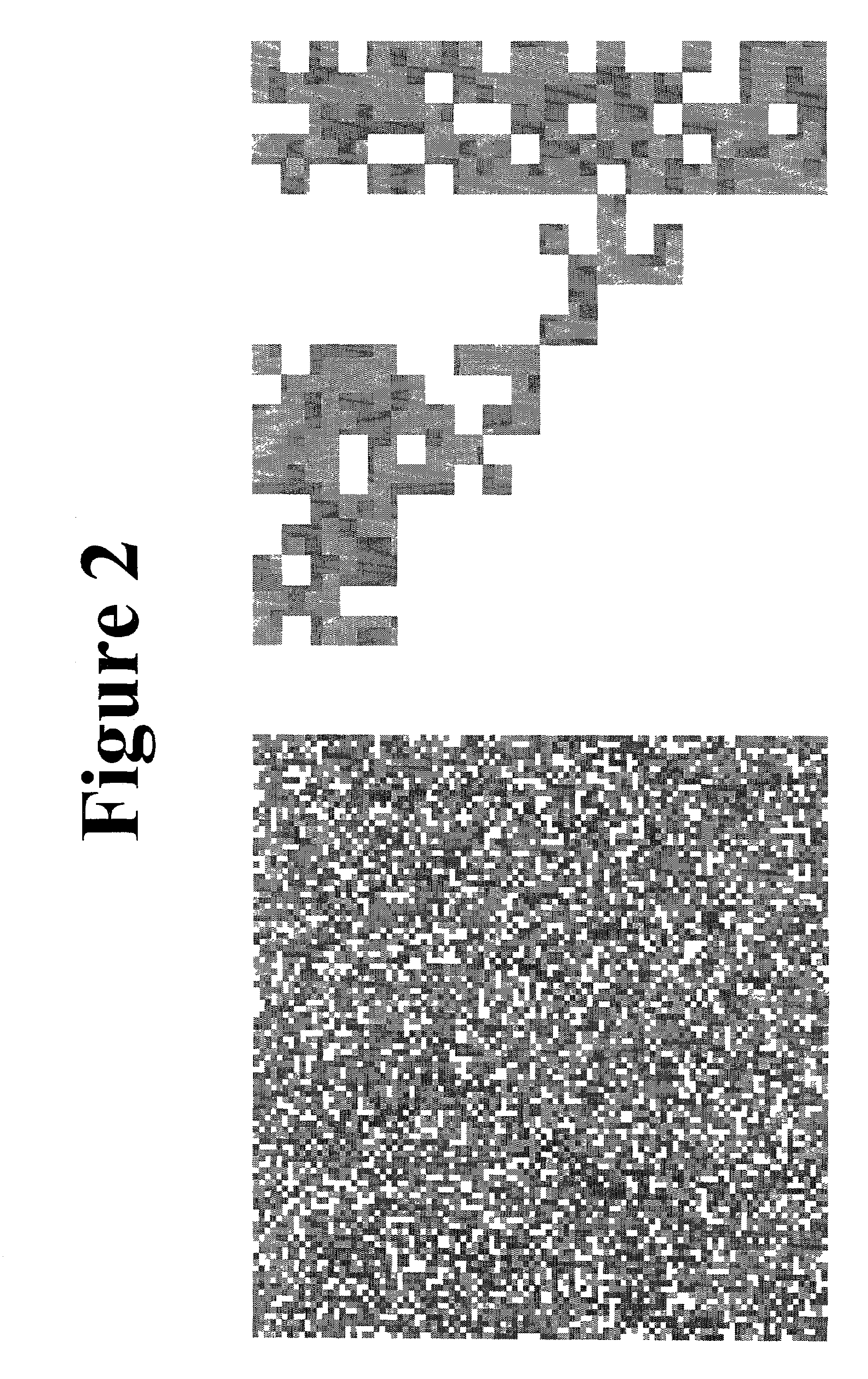 Method and apparatus for fractal computation