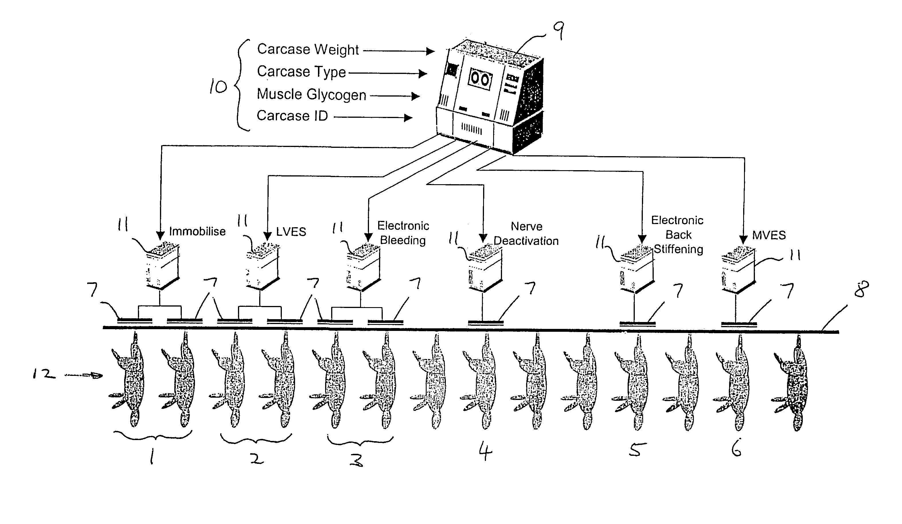 Electrical treatment of carcasses