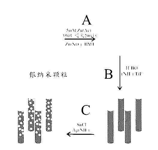 Preparation method of multifunctional surface enhanced raman scattering (SERS) substrate