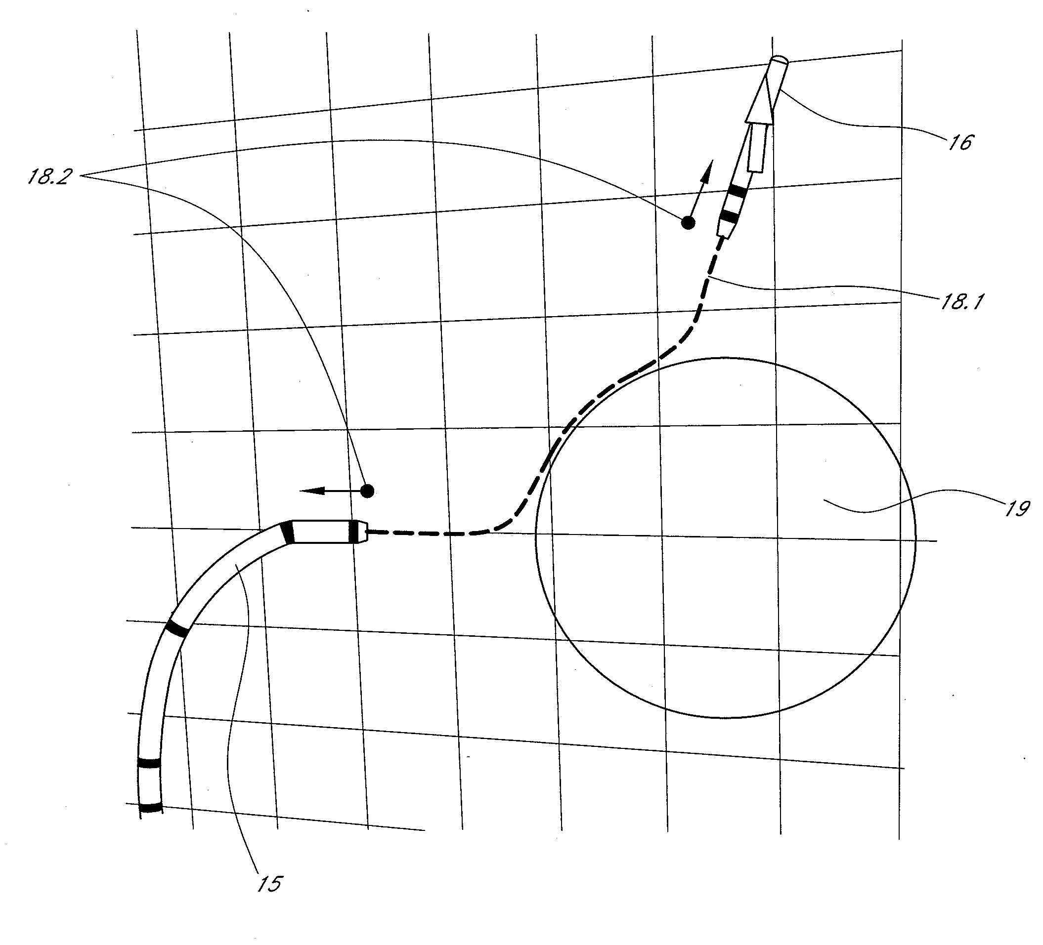 Method for simulating a catheter guidance system for control, development and training applications