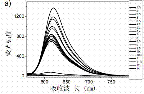 Xanthene fluorescent dye with biofilm permeability potential and preparation method thereof