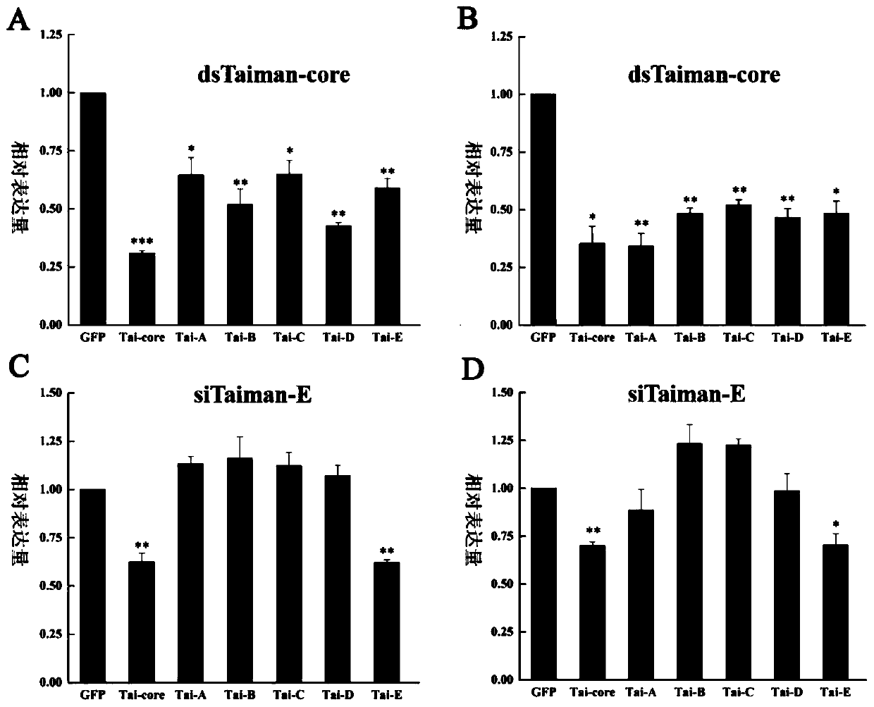 Bacteralis dorsalis taiman gene and its qrt-pcr detection method and its siRNA