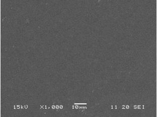 Surface-controlled and polymerization-modification biological material and preparation method thereof