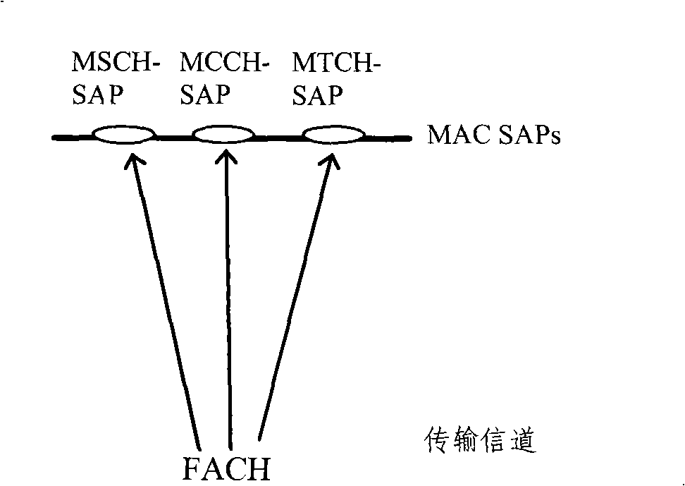 MBMS transmission method and device for multi-carrier wave mobile communication system