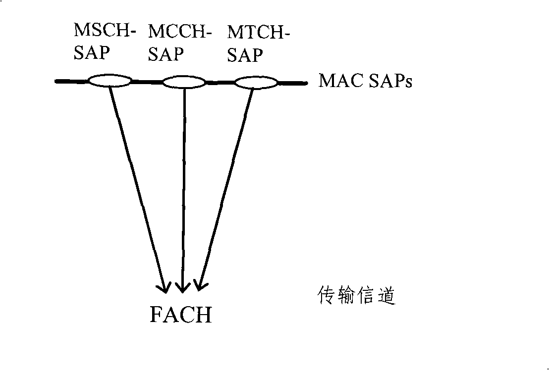 MBMS transmission method and device for multi-carrier wave mobile communication system