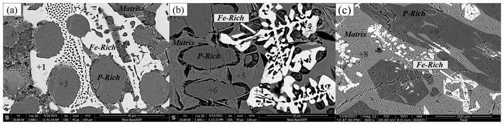 Method for efficiently recovering iron and phosphorus resources in phosphorus-containing steel slag