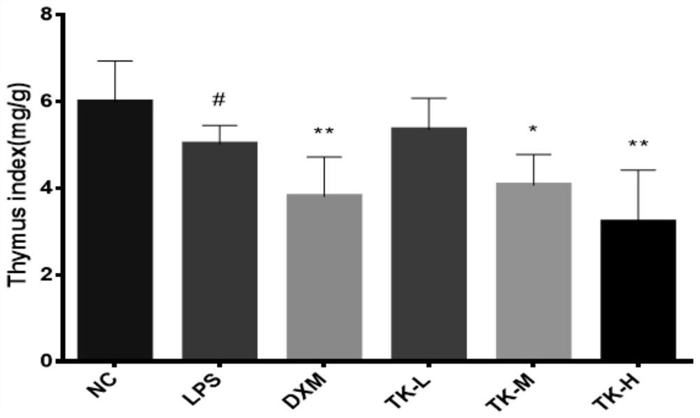 Anti-inflammatory and antioxidant traditional Chinese medicine composition, preparation thereof, and preparation method of preparation