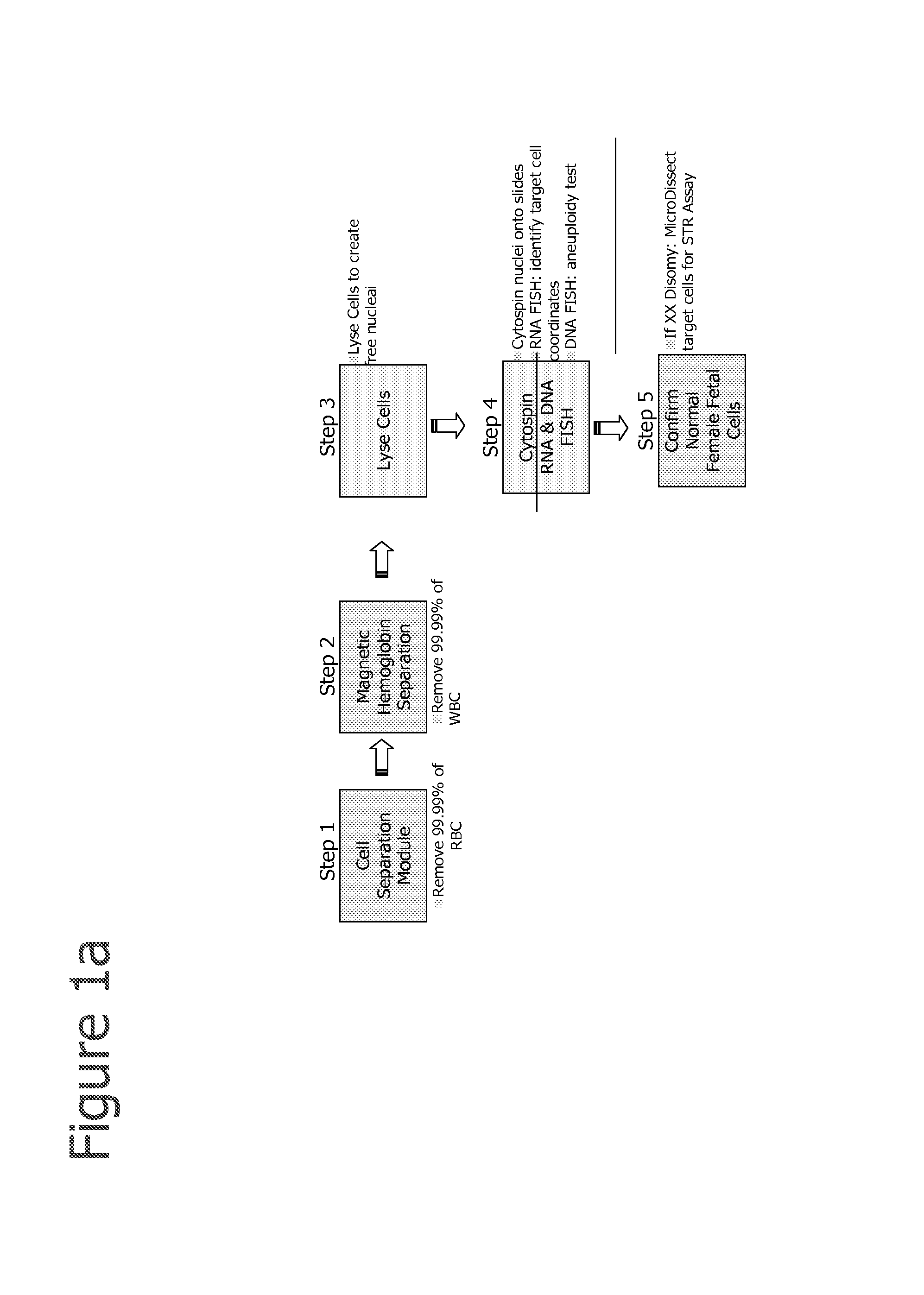 Selection of cells using biomarkers