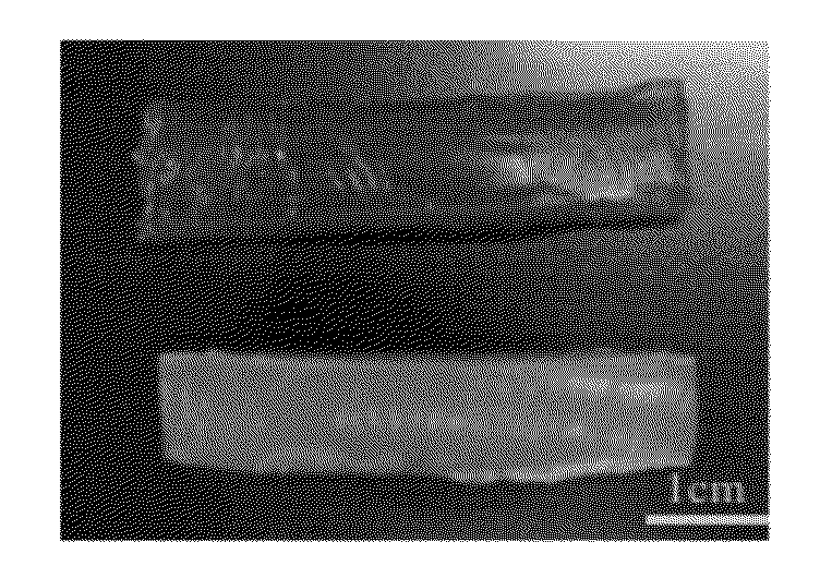 Injectable smart gel and method for fabricating the same